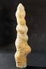 peristalsis