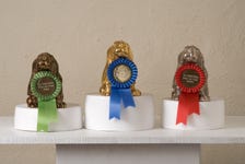Best in show